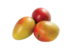 Mango Rumania