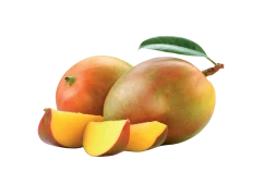 Mango Kalbathoor Kg