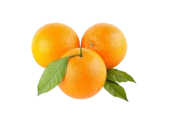 Orange Valencia Kg